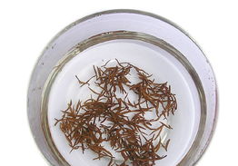 金六辦公用品店鋪裝修與產(chǎn)品展示圖片指南