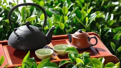 春茶上市，辦公桌上的那一杯，是“真香”還是“套路”？幾招教你輕松辨別