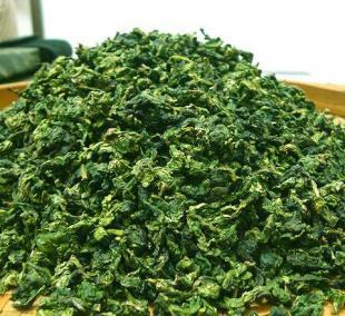 安溪鐵觀音 秋茶正當時，品味閩寶一號的醇香