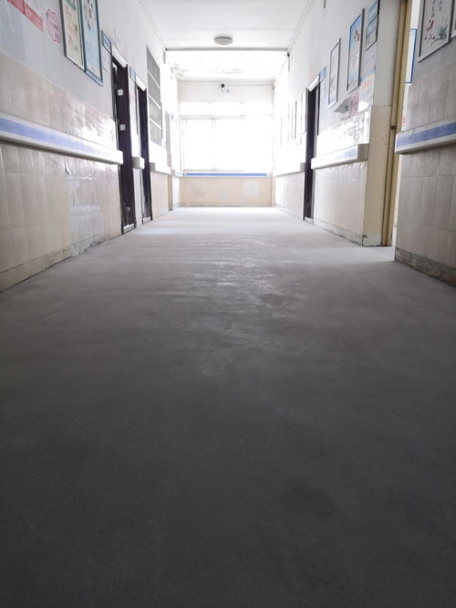 資陽市石塑地板大廳石塑地板