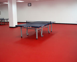乒乓球地板