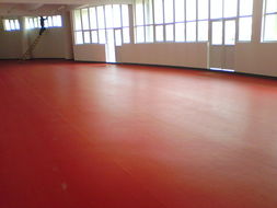 石家莊、唐山、秦皇島、邯鄲、邢臺PVC塑膠地板供應 專業運動場地解決方案