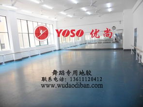 專業(yè)舞蹈塑膠地板 保護(hù)、減震、排壓與批發(fā)的全方位解析